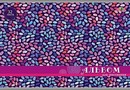 Альбом для рисования 32л. Разноцветные зернышки, обл. мелов., Апплика С0551-40