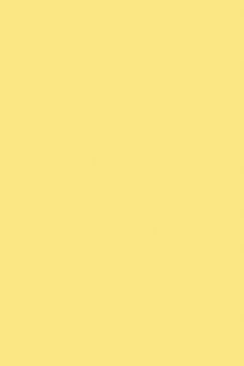Набор цветной бумаги, тонированная, фА4, 10л., "Желтый", Апплика (42/84) С3036-02