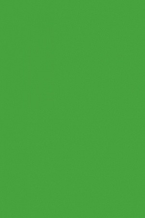 ФОАМИРАН (Фом Эва) 2мм, НАСЫЩЕНО-ЗЕЛЕНЫЙ, 42*62см. FOM EVA-014