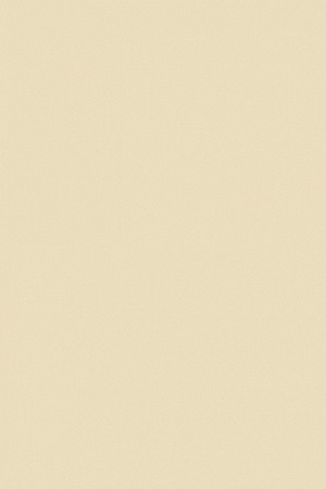 ФОАМИРАН (Фом Эва) 2мм, БЕЛЫЙ, 42*62см. FOM EVA-029