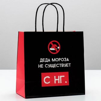 Пакет подарочный «Деда мороза не существует», 22 ? 22 ? 11 см 4865440 4865440