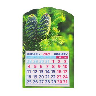 Календарь А6 на магните "Шишки на ветке - 2021 год" 5352976 5352976