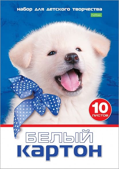 Набор белого картона фА4, 10л., ECO "Белый щенокt", в папке, Хатбер 1 10Кб4_15023