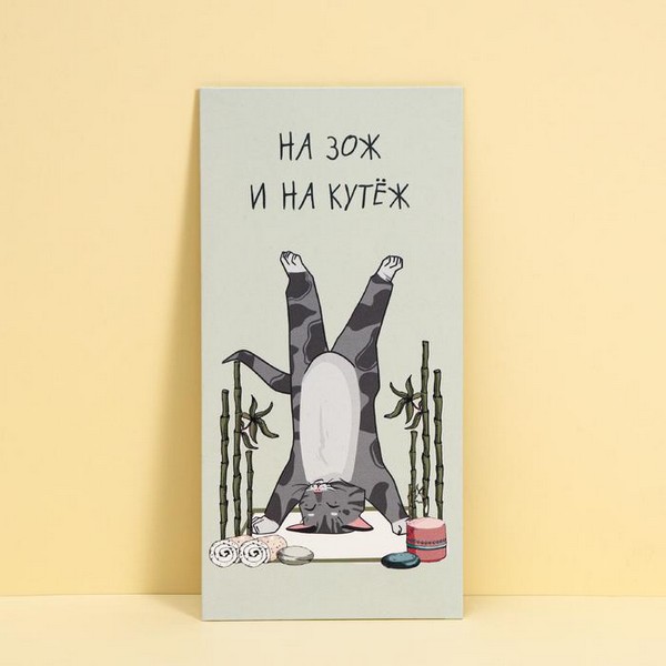 Конверт для денег «На ЗОЖ и кутеж», кот, 16,5 ? 8 см 7690728 7690728    
