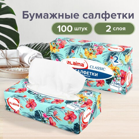 Салфетки косметические 100 шт. в картонном боксе 2-слойные, LAIMA "Everyday", 20х20 см, 113588 113588