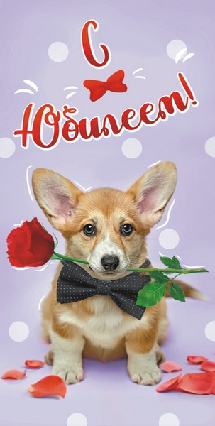 Конверт для денег "С Юбилеем" (жен.) без отделки, с лаком, ЛиС ОКЛ-176