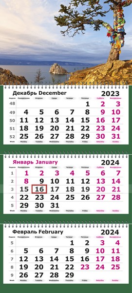Календарь настенный квартальный 2024г. "Байкальская сосна" 3-х блочный на 3-х гребнях 13с14-167/1201168