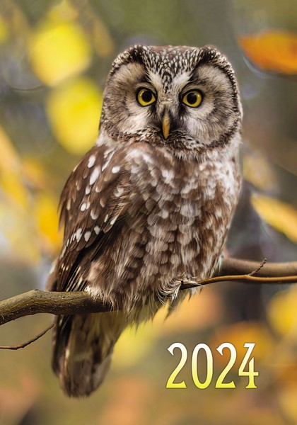 Календарь карманный , 2024 г. "Дикие животные", глиттер, ЛиС КГ-24-442