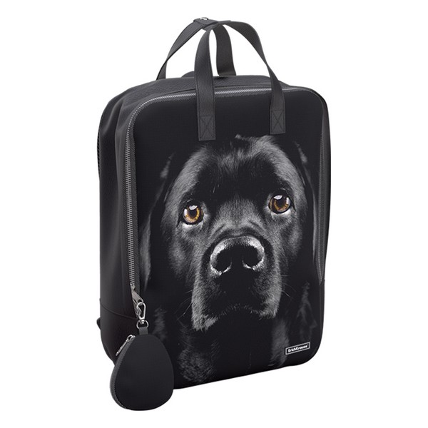 Рюкзак StreetLine 16L Black Dog, ErichKrause 60343