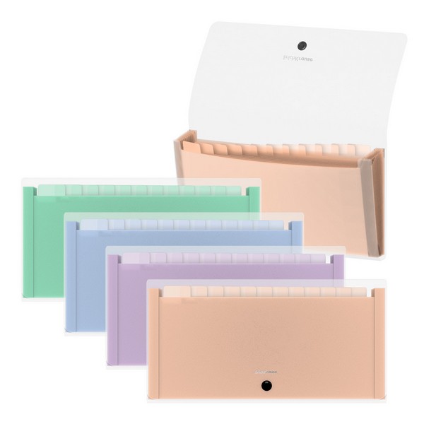 Папка-картотека пластиковая ErichKrause Matt Pastel Bloom, с 13 цветными отделениями, Check size, прозрачный, ассорти (пак. по 4шт) 61215