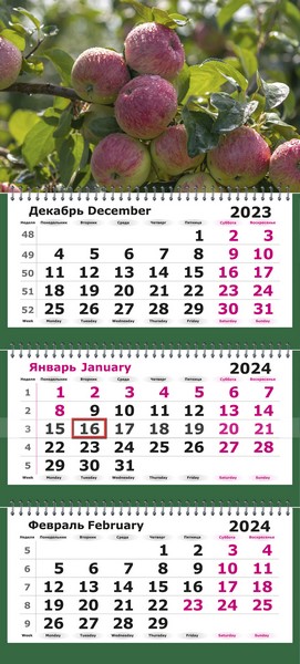 Календарь настенный квартальный 2024г. "Яблоневый сад" 3-х блочный на 3-х гребнях 13с14-227