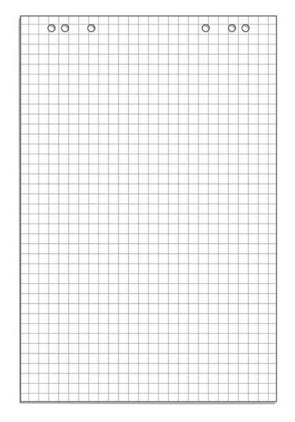Блокнот для флипчарта 60*90см, 20 листов, 80 г/м, клетка, Workmate 032001100