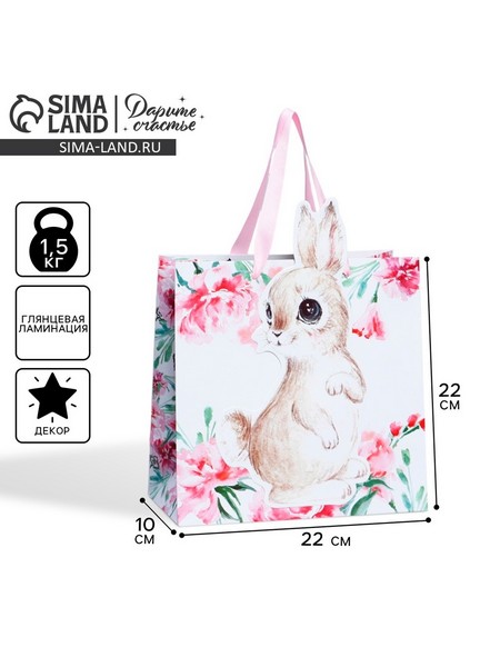 Пакет подарочный «Кролик», 22 ? 22 ? 10 см   7489515 7489515    