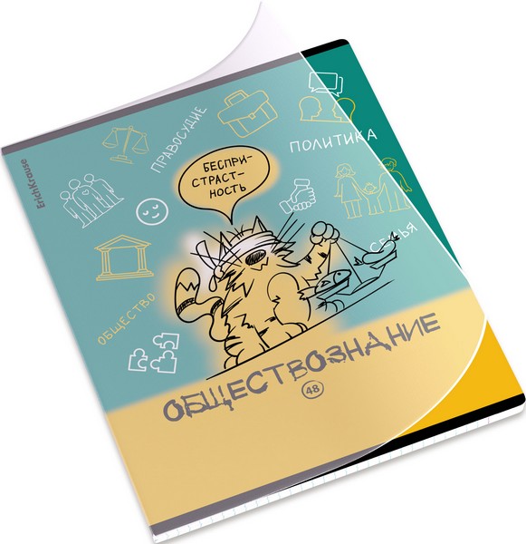 Тетрадь общая ученическая с пластиковой обложкой на скобе ErichKrause Котоформулы, Обществознание, 48 листов, клетка 048055254-62534