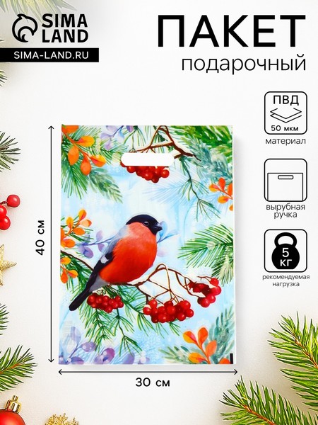 Пакет "Снегирь на ветке рябины", полиэтиленовый с вырубной ручкой, 30х40 см, 50 мкм 9803239 9803239