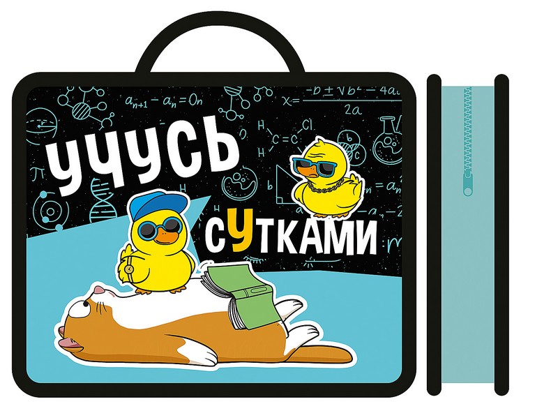 Папка детская фА4 пластиковая, с ручками "УЧУСЬ СУТКАМИ", Пчелка (10/30) ПМ-А4-26