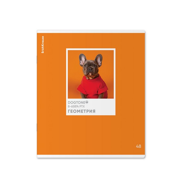 Тетрадь общая ученическая ErichKrause DogTone, Геометрия, 48 листов, клетка, выборочный УФ-лак 048019854-63350