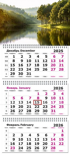Календарь настенный квартальный 2026г. "Пейзаж. Отражение" 3-х блочный на 3-х гребнях, белая подложка 3120-25