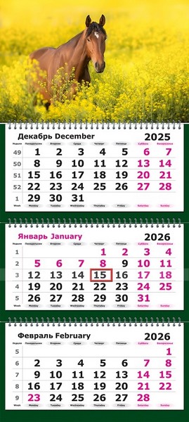 Календарь настенный квартальный 2026г. "Символ Года, Лошадь на цветущем лугу" 3-х блочный на 3-х гребнях, зеленая подложка 13с14-302