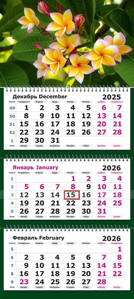Календарь настенный квартальный 2026г. "Тропический цветок" 3-х блочный на 3-х гребнях, зеленая подложка 13с14-305