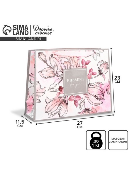 Пакет ламинированный горизонтальный «Present for you», ML 27 ? 23 ? 11,5 см   4725100 4725100    