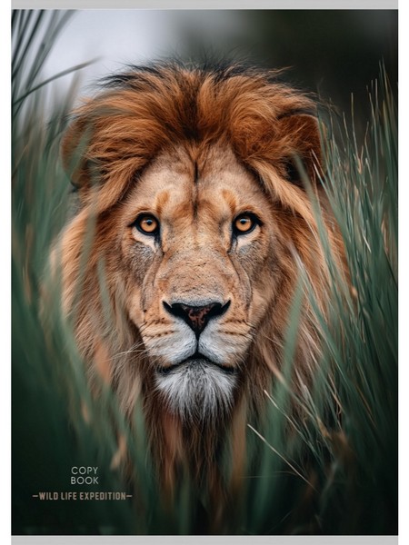 Тетрадь фА4 96л. кл., обл. мелов., TМ Profi КРАСИВЫЙ ЛЕВ - 1 96-9009