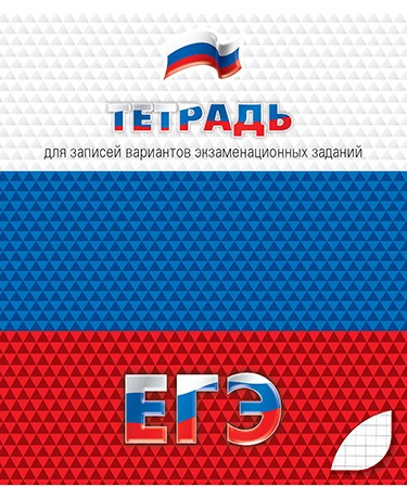 Тетрадь для подготовки к ЕГЭ 48л. кл., обл. мел. картон, КТС-Про С0147