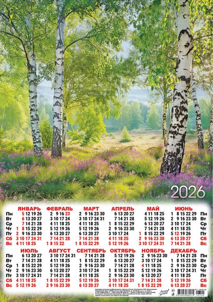 Календарь настенный листовой 2026 г. "Природа. Русские берёзы" фА3 ПМ-26-140