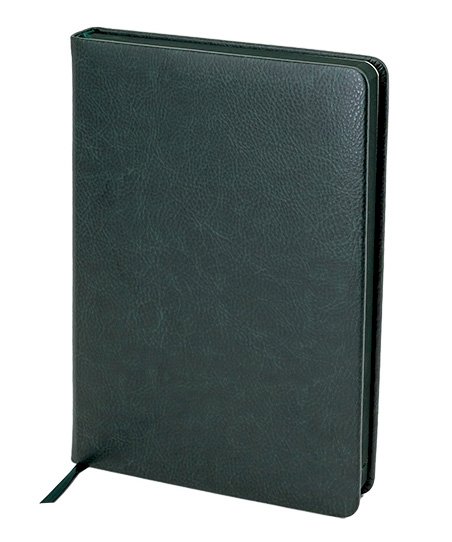 Ежедневник датированный 2026 Qredo "Dublin" фА5, 168 листов, иск.кожа, темно-зеленый 15-8324