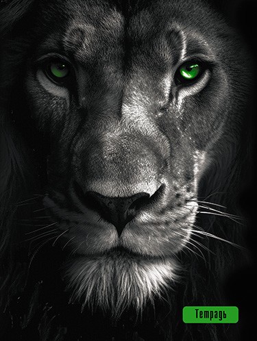 Тетрадь 96л. кл., на гребне, обл. карт., "Дикий взгляд", КТС-Про(40) С2277-56