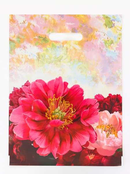 Пакет "Прима", полиэтиленовый с вырубной ручкой, 30х40 см, 50 мкм 10960217 10960217   