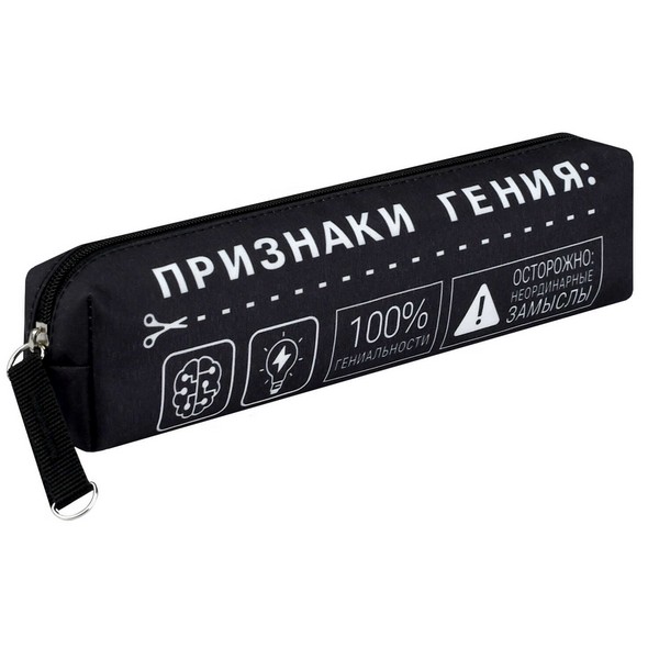 Пенал школьный "ФРАЗЫ С ХАРАКТЕРОМ" (без наполнения, 20х4х4.5 см, микрофибра на ПВХ-основе, молния, сублимационная печать, ПЭТ-пакет), Феникс + 72015