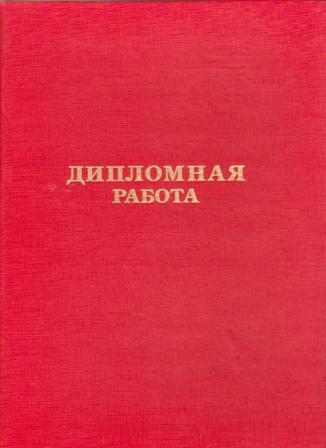 Папка для дипломных работ без бумаги, красная (12) 10ДР01