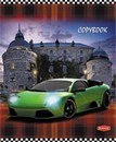 Тетрадь 60л. кл., обл. мелов., Авторалли, Маяк. (80) Т5060К2
