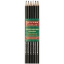 Карандаш Русский карандаш, шестигранный, цвет корпуса ассорти, 6,4мм, СКФ CK115/2Т