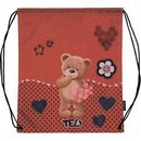 Мешок для сменной обуви deVENTE. Мишка Ted 35x40 см, водоотталкивающая ткань, на веревочной завязке 7040800