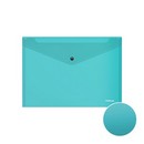 Папка-конверт пластиковая 0.14мм, на кнопке фА4, полупрозрачная, ассорти,  FIZZY VIVID  ErichKrause 47423