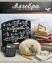Тетрадь 48л. кл., спр. мат., Тайная жизнь ежей. Алгебра, обл. конгрев, выб. ТВИН-лак, ПБЗФ (8/80) 028979