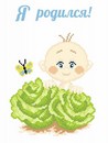 Набор для вышивания сх.канва + мулине "Я родился!" размер 30*21, М.П.Студия КН-453