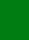 Блокнот на гребне фА5 40л. кл. Корпоратив зеленый (10/80), ПЗБФ  098942 