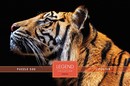 Пазл 500 эл., Premium ZooStyle Взгляд тигра А2ф 480х330мм, в подарочн. коробочке + Постер, Хатбер 500ПЗ2_25127