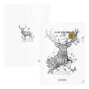 Набор из 4 папок-уголков пластиковых фA4, ассорти, Natural Life ErichKrause 54040