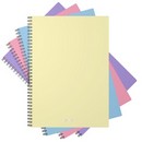Тетрадь фА4 80л. кл., на спирали с пластиковой обложкой "Pastel" ассорти, ErichKrause  50163