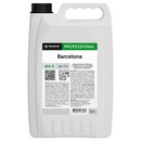 Антисептик для рук и поверхностей бесспиртовой 5 л PRO-BRITE BARCELONA, жидкость, 414-5 606808