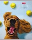Тетрадь 48л. лин., обл. мелов., "Узнай себя!" (Lucia Heffernan), Хатбер (10/100) 48Т5В2