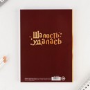 Ежедневник в тонкой обложке А5, 80 листов "Замышляю только шалость" 7694974 7694974    