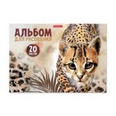 Альбом для рисования 20л. Wild Cat клеевое скрепление, ErichKrause 49829