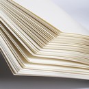 Альбом для графики на гребне, А4, 160г/м2, 60л., спираль по короткой стороне, твердая обложка, Finenolo C276