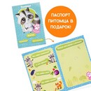 Мой питомец Енотик dd-14