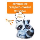 Мой питомец Енотик dd-14
